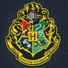 Bandera Hogwarts Harry Potter