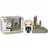 Funko POP Minerva Mcgonagall con Hogwarts 33 Harry Potter Town