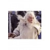 Figuras Gandalf el Blanco El Señor de los Anillos 23 cm PVC