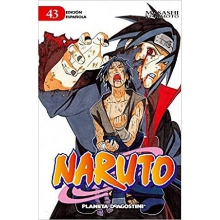 Naruto Shippuden 43