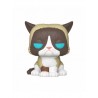 Funko POP Grumpy Cat 60