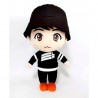 Peluche Jung Kook BTS