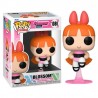 Funko POP Pétalo 1080 Las Supernenas Cartoon Network