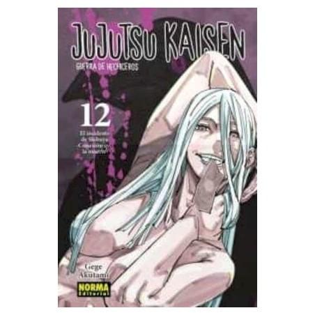 Jujutsu Kaisen 12