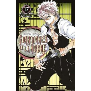 Demon slayer: Kimetsu no yaiba 17