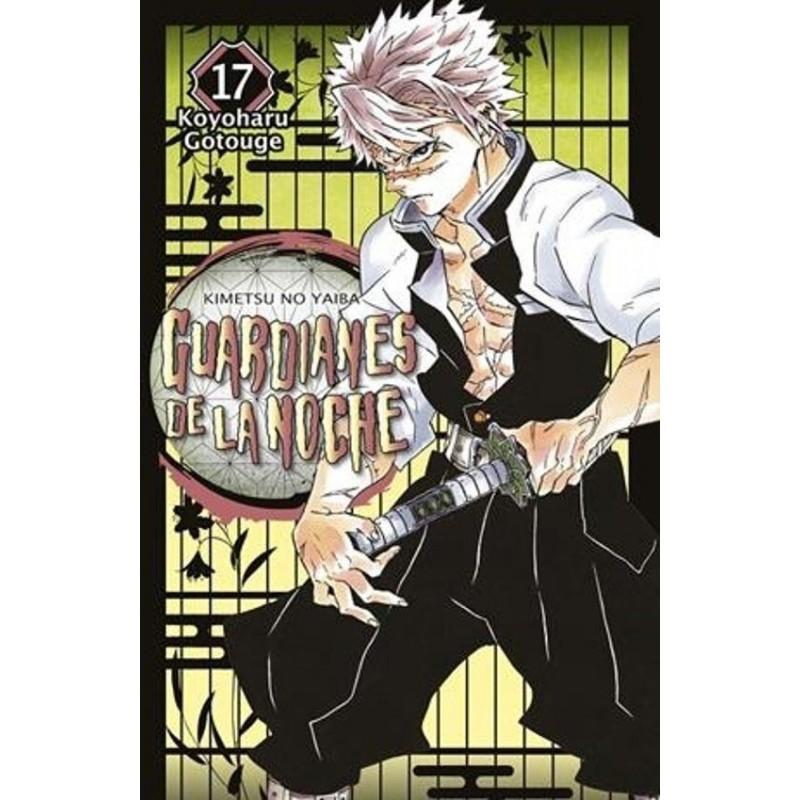 Demon slayer: Kimetsu no yaiba 17