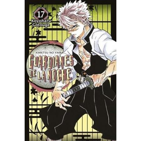 Demon slayer: Kimetsu no yaiba 17