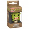 Llavero Funko POP Shrek Ed Especial