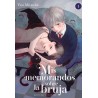 Mis memorandos sobre la bruja 1