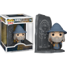 Funko POP Gandalf with Doors of Durin 1746 Señor de los Anillos