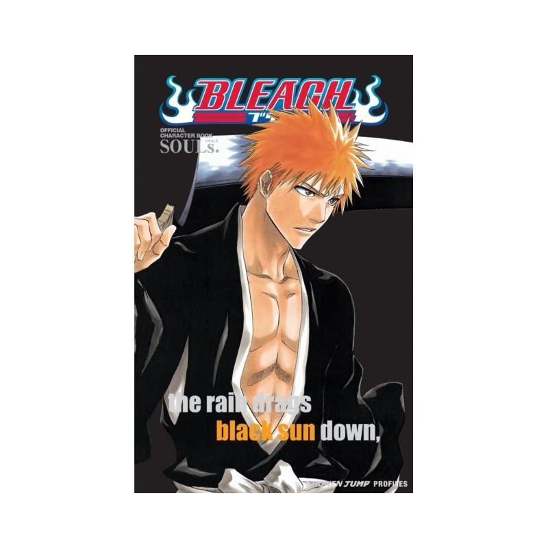 Bleach libro de personajes oficial ingles