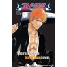 Bleach libro de personajes oficial ingles