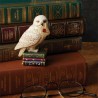 Figuras Mini Hedwig Harry Potter Enesco 10 cm
