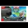 Venusaur ex and Blastoise ex Premium Collection