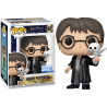 Funko POP Harry Potter con Hedwig 197 Harry Potter